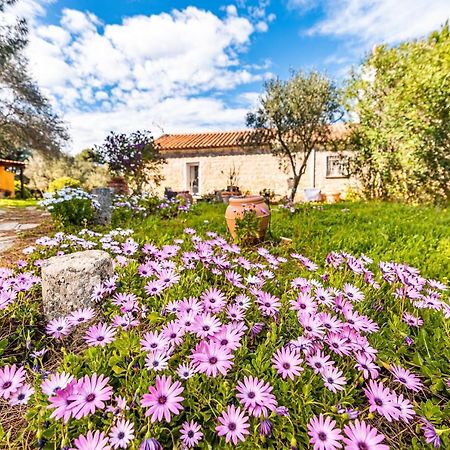 Casa Lilliosa Villa Campavaglio Екстериор снимка