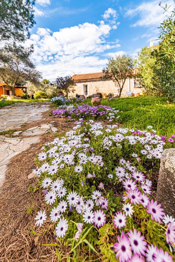 Casa Lilliosa Villa Campavaglio Екстериор снимка