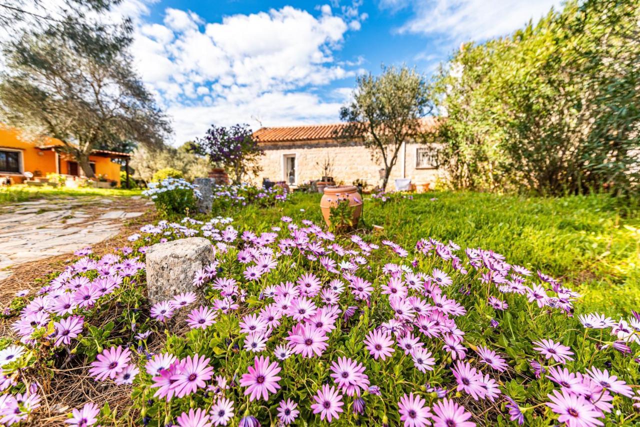 Casa Lilliosa Villa Campavaglio Екстериор снимка